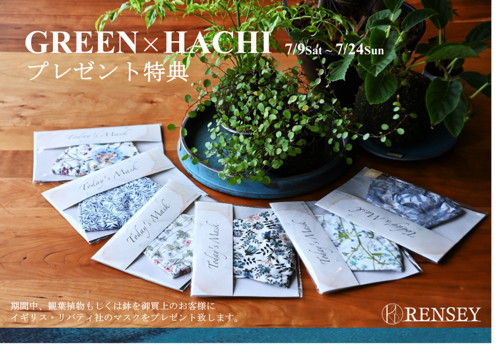 GREEN×HACHI 2022　延期Ver　プレゼント特典